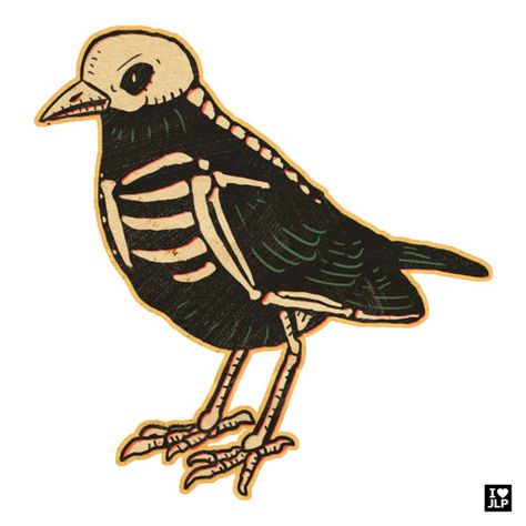 Bird Skeleton, Crows Drawing, Bird Bones, Skeleton Drawings, Window Drawing, Bone Tattoos, Skeleton Illustration, Crow Tattoo, Crow Skull