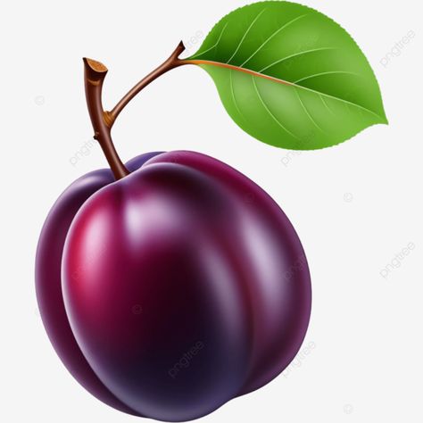 ripe purple plum fruits with green leaves illustration element fruit png Green Leaves Illustration, Png Fruit, Fruit Png, Purple Fruit, Plum Fruit, Leaves Illustration, Fruit Photography, Fruit Illustration, Purple Plum