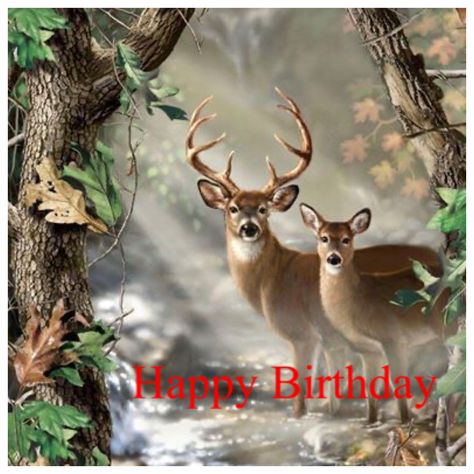 Happy Birthday Deer Hunter, Happy Birthday Nature Image, Happy Birthday Hunting, Happy Birthday Hunter, Deer Quilt, Wildlife Quilts, Deer Artwork, Birthday Men, Deer Fabric