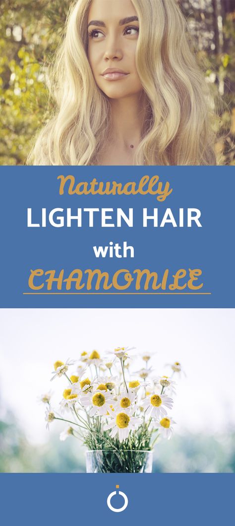 How To Lighten Hair With Chamomile Tea, Natural Ways To Color Hair, Natural Ways To Lighten Hair Fast, Natural Hair Lightener Blonde, Chamomile Hair Rinse, Chamomile Tea For Hair, Chamomile Tea Hair Lightener, Natural Hair Lightener For Brunettes, Hair Lightening Diy