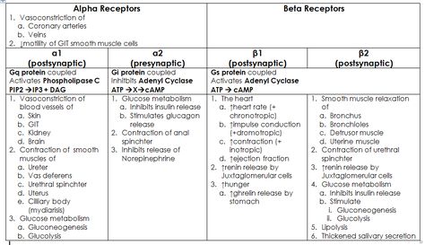 A nice (probably incomplete) chart of what common neurotransmitters do, where you can find them, and what sort of receptors they bind to. Autonomic Nervous System Pharmacology, Alpha And Beta Receptors, Beta Receptors, Emt Study, Pharmacology Studying, Adrenergic Receptors, Paramedic School, Nurse Practitioner School, Nursing Goals