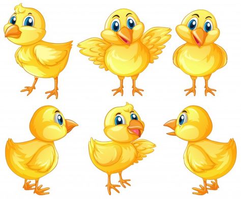 Six cute chicks on white background illustration Premium Vector Chicks Drawing, Cute Character Illustration, Cute Chicks, Farm Clipart, Background Drawing, Cityscape Photos, Drawing Images, Logo Banners, Wildlife Animals