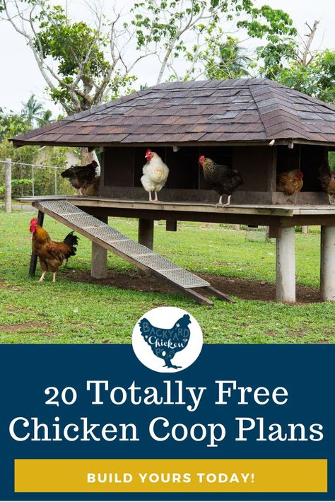 Simple Chicken House, Mobile Chicken Coop Diy, Free Diy Chicken Coop Plans, Simple Chicken Coop Plans, Chicken House Plans, Free Chicken Coop Plans, Free Chicken Coop, Beautiful House Designs, Chicken Coop Plans Free