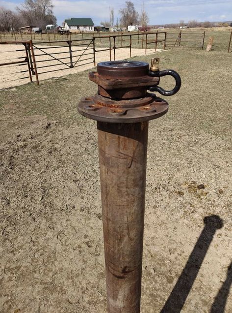 Horse Patience Pole Diy, Horse Patience Pole, Horse Tying Post, Patience Pole For Horses Diy, Horse Tie Post, Equine Stables, Beautiful Horses Wild, Horse Feeder, Horse Farm Ideas