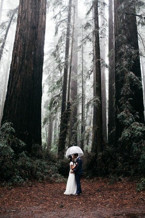 Rain Wedding Photos, Rainy Wedding Photos, Rainy Wedding Day, Rain Wedding, Family Wedding Photos, Wedding Day Photos, Funny Wedding Photos, Creative Wedding Photo, Rainy Wedding