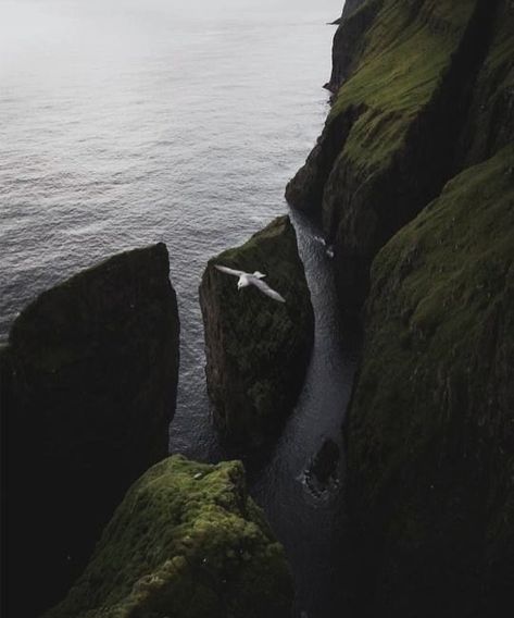 perspective is just a choice #yourchoice #timeless #lifestyle Islands Aesthetic, Faroe Island, Island Aesthetic, Wonderful Nature, Faroe Islands, Get Outdoors, Travel Adventure, Nature Aesthetic, Pretty Places