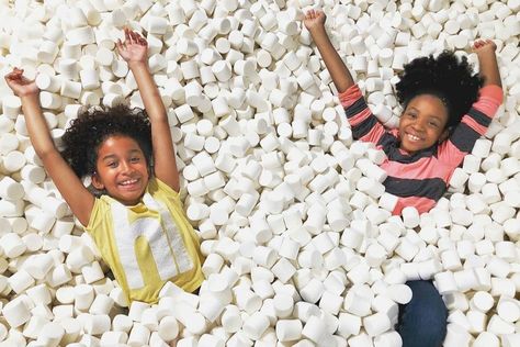 Things to Do in Philly this Weekend: Candytopia, Museum Day Live! September 21-22 Candy Shop Design, Candy Museum, Philadelphia With Kids, Things To Do In Philly, Best French Fries, Giant Pool, Giant Marshmallows, Things To Do In Philadelphia, Dog Cafe