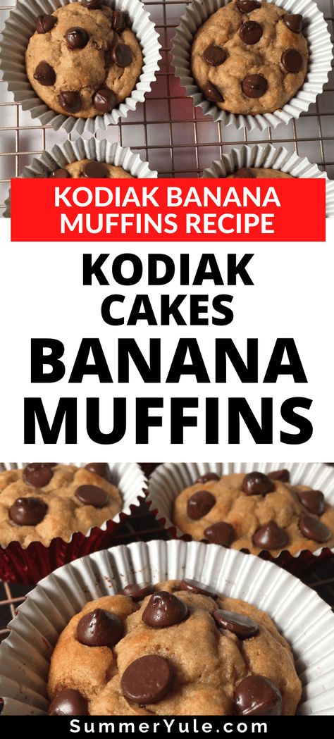 Kodiak Cakes High Protein Muffins, Kodiak Protein Pancake Mix Recipes, Protein Muffins With Kodiak Cakes, Weight Watcher Muffins With Kodiak, We Kodiak Muffins, Muffins From Protein Pancake Mix Recipes, Kodiak Cakes Mini Muffins, Weight Watcher Protein Muffins, Kodiak Protein Muffin Recipes