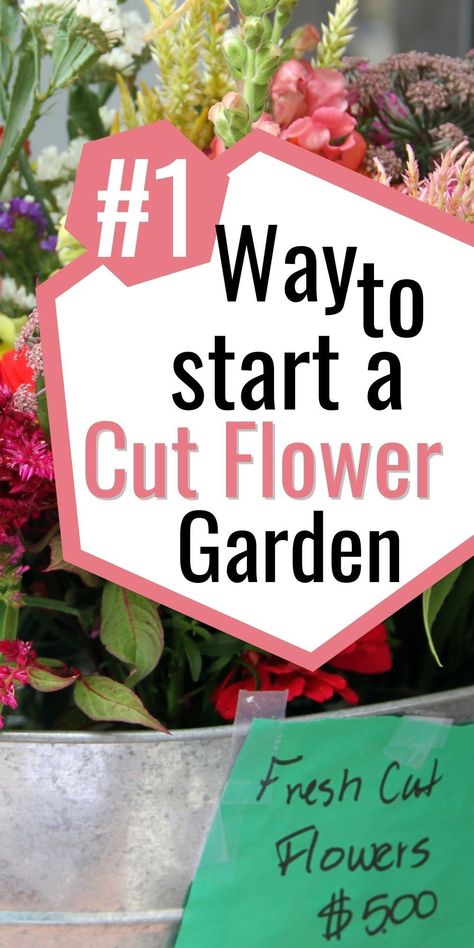 Discover the secrets to creating a breathtaking cut flower garden with our step-by-step guide. Learn which flowers thrive and how to cultivate your own dazzling blooms. Unleash your inner florist and add a touch of nature's splendor to your life. Get started today and create a garden that will make your heart bloom with joy! #CutFlowerGarden #GardeningTips #NatureLovers Easy Cut Flower Garden, Small Cut Flower Garden Layout, Small Cut Flower Garden, Flower Garden Layouts, Flower Farming, Cut Flower Farm, Growing Bulbs, Garden Planner, Cut Flower Garden