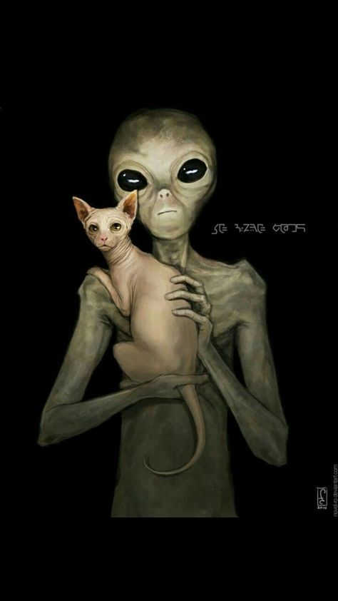 Alien Photos, Ufo Art, Alien Artwork, Grey Alien, Arte Alien, Psy Art, Alien Concept, Play Slots, Aliens And Ufos