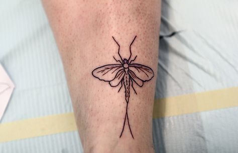 mayfly tattoo May Fly Tattoo, Mayfly Tattoo, Fine Tattoos, Steve Jones, Forever Tattoo, Flying Tattoo, Bug Tattoo, Mayfly, Beautiful Tattoo