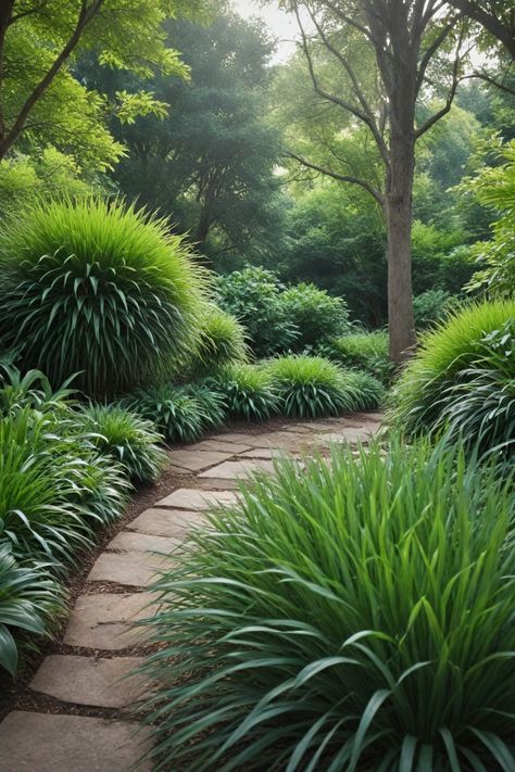 Explore a variety of ornamental grasses perfect for shady areas in your garden. From tall grasses to non-invasive options, find the best ornamental grasses that thrive and add beauty to shaded landscapes. Whether you're looking for ornamental grasses that grow well in both sun and shade or specifically seeking tall options, there are plenty of choices available. Enhance your garden with these shade-friendly plants and create a lush, green oasis even in low-light spaces. Shaded Front Yard Landscaping Ideas, Front Yard Shade Ideas, Grass For Shady Areas, Grasses For Shade, Tall Shade Plants, Tall Grass Landscaping, Japanese Sedge, Ornamental Grasses For Shade, Ornamental Grass Landscape