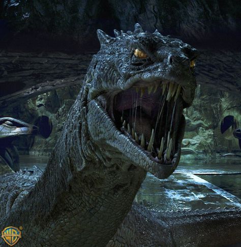 Basilisk (Harry Potter) - Villains Wiki - Wikia Basilisk Harry Potter, Harry Potter Creatures, Harry Potter Quiz, Canada Images, Images Harry Potter, Septième Art, Slytherin House, Newt Scamander, Chamber Of Secrets