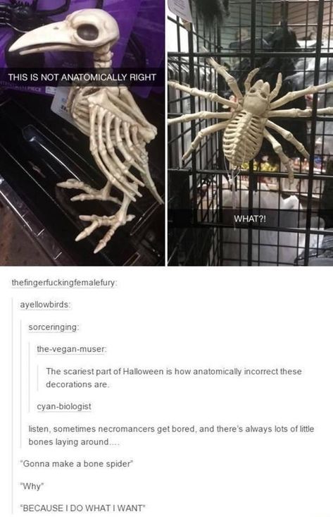 Anatomically Incorrect Animal Skeletons of Halloween Decorations (Funny Tweets) - I Can Has Cheezburger? Animal Skeletons, The Skeleton, Freaking Awesome, What’s Going On, Funny Tweets, Tumblr Funny, Tumblr Posts, Funny Posts, Mbti