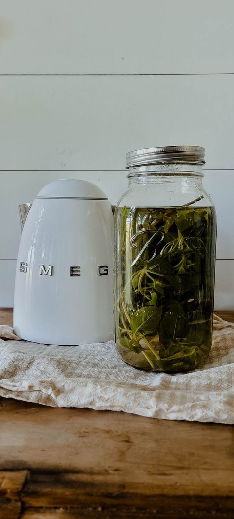 Holy Basil Tea, Tea Infusion Recipes, Basil Tea, Gallon Mason Jars, Dried Basil Leaves, Gallon Jars, Breakfast Wraps, Holy Basil, Herbal Infusion