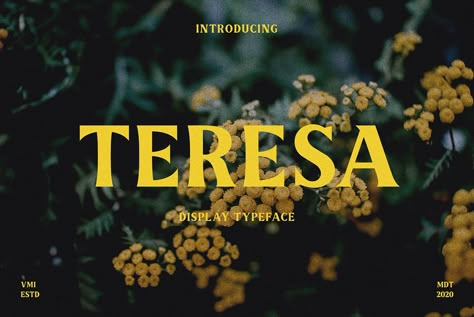 Teresa — Display Font on Behance Film Font, Pretty Fonts, Popular Fonts, Display Fonts, Graphic Design Fonts, Brand Fonts, Title Card, Typography Letters, Modern Fonts