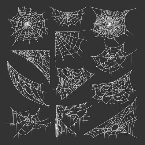 Drawing Of Spider Web, Drawn Spider Webs, Painted Spider Webs, Spider Web Reference, How To Paint A Spider Web, Spiders Web Drawing, Spider Webb Drawings, Spiderweb Reference, Spider Web Drawing Realistic