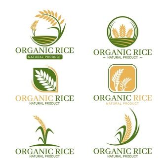 Free Vector | Elegant nature cosmetics logos collection Logo Rice, Wheat Drawing, Wheat Logo, Organic Food Logo, Rice Brands, Farm Logo Design, Rice Packaging, Plant Logos, Nature Logo Design