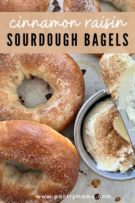 Sourdough Discard Blueberry Bagels, Blueberry Sourdough Bagels, Cinnamon Raisin Sourdough, Cinnamon Bagels, Blueberry Bagel, Cinnamon Raisin Bagel, Sourdough Bagels, Sourdough Starter Discard Recipe, Starter Recipe