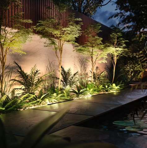 Garden Lighting Design, Landscape Lighting Design, Modern Backyard Landscaping, Courtyard Design, Backyard Lighting, Modern Backyard, Philips Hue, Gardens Design, Outdoor Gardens Design