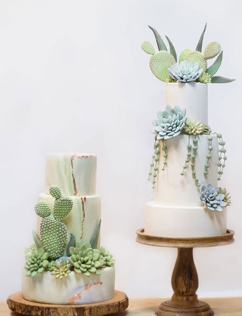 Cactus Wedding Cake, Succulent Wedding Cakes, Succulent Cake, Cactus Cake, Cactus Wedding, Sedona Wedding, Succulent Wedding, Desert Wedding, Savoury Cake