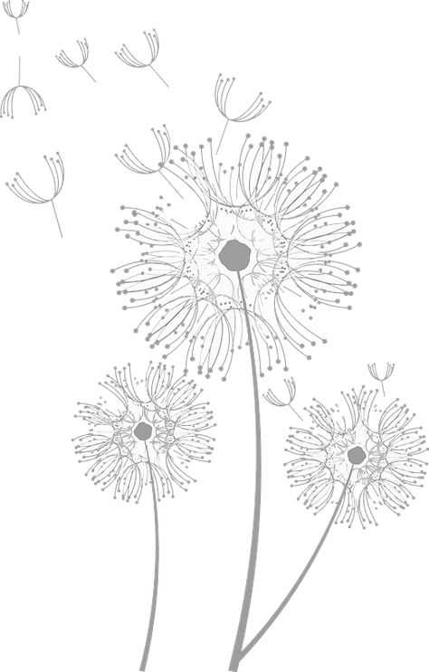 Dandelion Fluff, Dandelion Drawing, Stick Poke Tattoo, Free Clipart Images, Poke Tattoo, Free Clipart, Black Flowers, Vector Clipart, Clipart Images