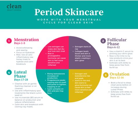 The phases that your skin goes through during your menstrual cycle! Menstrual Cycle Routine, Menstrual Syncing, Menstrual Cycle Diagram, Menstrual Cycling, Hormone Phases, 4 Cycles Of Menstrual Cycle, Cycle Skin Care, Menstrual Cycle Syncing, How To Track Your Period