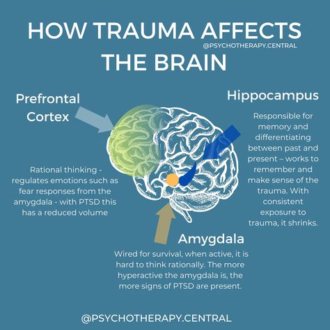 Nervus Vagus, Brain Tumors, Psychology Notes, Brain Facts, Mental Health Facts, Autonomic Nervous System, Brain Science, Cognitive Behavioral Therapy, Behavioral Therapy