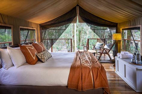 Glamping Interior, Eco Camp, Tent Interior, Jervis Bay, Tent Living, Glamping Tents, Glamping Tent, Game Lodge, Luxury Glamping