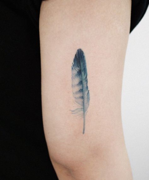 Feather Tattoos Simple, Unique Feather Tattoos For Women, Blue Feather Tattoo, Meaning Of Feather Tattoo, Fine Line Feather Tattoo, Someday Tattoo, Shaka Tattoo, Phoenix Feather Tattoos, Small Feather Tattoo