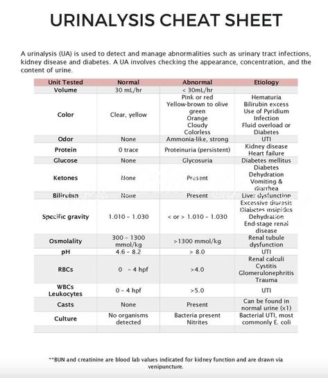 Bells Palsy, College Advice, Male Nurse, Nursing School Studying, Nursing Education, Nursing Notes, Urinary Tract, Nclex, Cheat Sheet