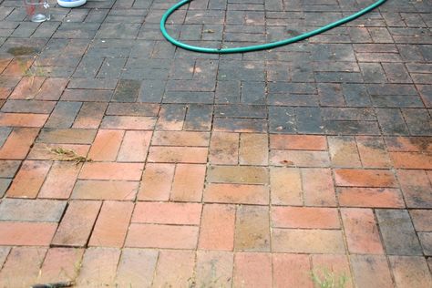 Learn how to clean weeds, mold and mildew off a neglected brick patio. Transform your brick patio back to its natural beauty. Cleaning Pavers, Brick Floors, Brick Porch, How To Clean Brick, Brick Paver Patio, Clean Patio, Outdoor Pavers, Brick Patio, Cleaning Mold