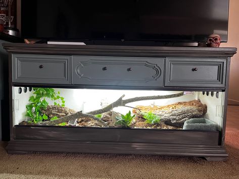 Custom built snake terrarium and TV stand from an old, refurbished dresser. Two weeks of hard work has finally paid off! Terrarium Tv Stand, Reptile Cabinet Diy, Dresser Reptile Enclosure, Reptile Shelving, Diy Snake Enclosure Dresser, Dresser Terrarium, Sand Boa Enclosure, Lizard Enclosure, Diy Bearded Dragon Enclosure