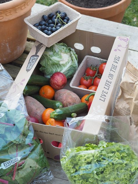 Fruit Boxes Ideas, Vegetable Delivery, Fruit And Veg Shop, Veggie Box, Vegetable Packaging, Organic Cooking, Vegetable Boxes, Vegetable Shop, Food Boxes