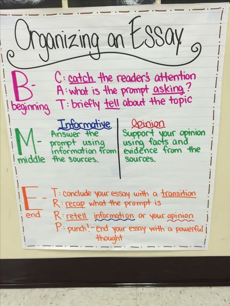 Organizing an essay anchor chart! FSA styled writing for 4th grade. Law School Personal Statement, Organize Ideas, Essay Structure, 3rd Grade Writing, Education Tips, Homeschool Writing, Essay Format, Writing Anchor Charts, 4th Grade Writing