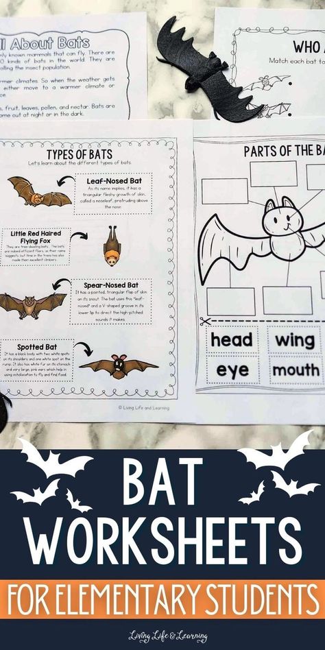 Bat Worksheets for Elementary Students Bat Unit Study Free, Bat Unit Study, Homeschool Bat Unit, Bat Activities For Kids, Bat Worksheets, Bat School Activities, Bats First Grade Activities, Bats Lesson Plans, Bats Unit Study