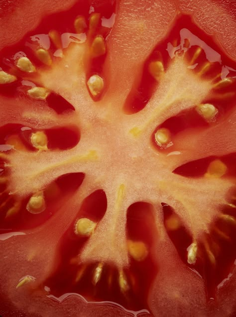 FOOD — DAVID SYKES photography Natural Forms Gcse, Macro Food Photography, Shape Photography, Macro Food, Macro Photography Tips, Close Up Art, Foto Macro, Macro Photography Nature, Vegetables Photography