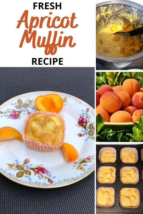 Looking for fresh apricot muffins recipe? Check out this easy recipe for muffins with apricots that taste like summer! What To Make With Apricots, Apricot Breakfast Recipes, Recipes For Fresh Apricots, Fresh Apricot Recipes Dinner, Recipes With Apricots, Apricot Puree Recipes, Easy Apricot Recipes, Fresh Apricot Recipes Healthy, Apricot Muffins Recipe