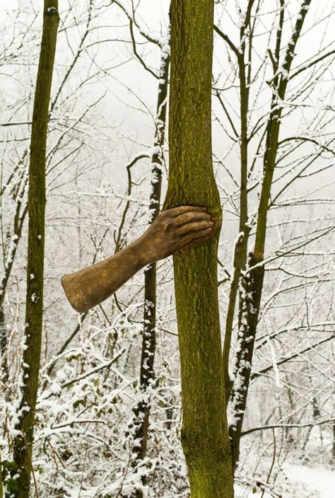 This Bronze Sculpture Was Attached To A Tree In 1968, Here’s How It Looks Now  Artist Giuseppe Penone Giuseppe Penone, Neo Dada, Sculptures Céramiques, Hand Sculpture, Tree Sculpture, Art Installations, Italian Artist, Sculpture Installation, Process Art