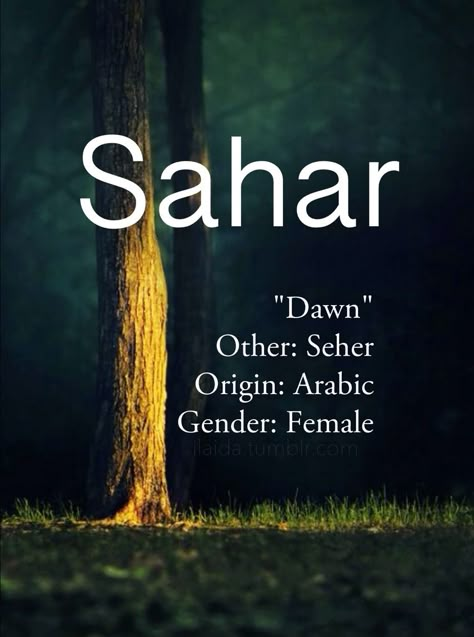 Middle Eastern Names, Scandinavian Names, Strong Baby Names, Female Character Names, Traditional Names, Names Unique, Fantasy Names, Arabic Names, Name Inspiration