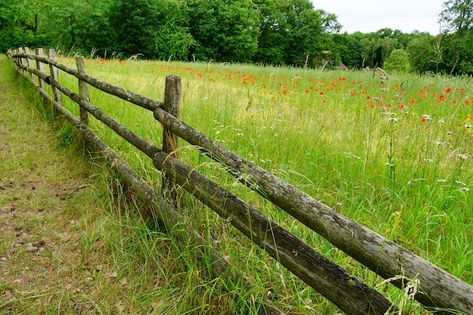 Free photo view of a grass field with gr... | Free Photo #Freepik #freephoto Yard Aesthetic, Cheap Fence Ideas, Wooden Gate Designs, Log Fence, Wattle Fence, Split Rail Fence, Diy Garden Fence, Green Fence, Horse Fencing