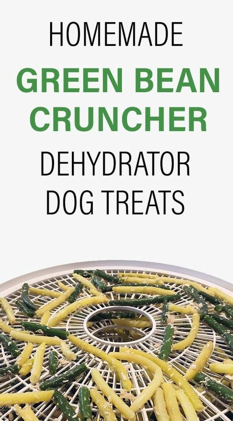 Are you watching your dog's weight? The perfect mix of healthy beans and tantalizing meat flavour, try making these low calories snacks dehydrator dog treats that your pooch will love. Low Calories Snacks, Dehydrator Dog Treats, Green Bean Chicken, Chicken And Green Beans, Healthy Beans, Dog Treats Grain Free, Easy Dog Treat Recipes, Dog Treat Recipe, Dog Biscuit Recipes