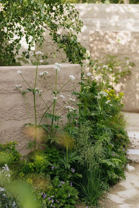 Chelsea Flower Show 2022: The trends to watch from this year's gardens event | House & Garden Chelsea Garden Show 2023, Chelsea Flower Show 2022, Chelsea Flower Show 2023, Chelsea Flower Show Gardens, Event House, Naturalistic Garden, Chelsea Garden, Small Water Features, Sunken Garden