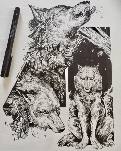 Phases Original Ink Animal Drawings, Wolf Concept Art, Wolf Drawings, Wolf Print, Props Art, The Turning, The Wilds, Art Folder, Arte Sketchbook