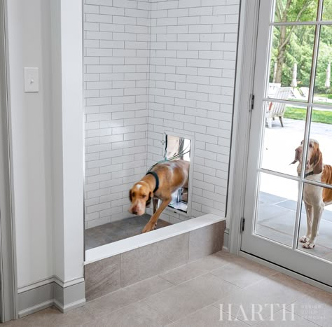 Fort Washington First Floor - Transitional - Laundry Room - Philadelphia - by Harth Builders | Houzz Dog Wash Station, Transitional Laundry Room, Pet Washing Station, Dog Room Decor, Wash Station, Washing Station, Dog Washing Station, Dog Spaces, Dog Room