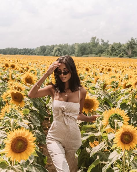 Sunflower Field Photography, Sunflower Field Pictures, Field Pictures, Sunflower Photography, Cow Boys, Field Photography, Sunflower Photo, Flower Photoshoot, Sunflower Pictures