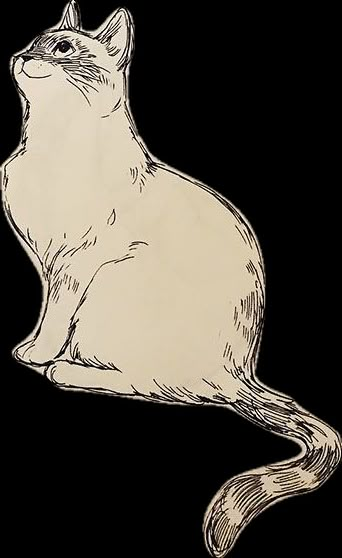 Easy Cat Drawing, Cat Drawing Ideas, Cat Line Art, Cat Sketches, Simple Cat Drawing, Draw A Cat, Improve Your Drawing Skills, Improve Your Drawing, Scrapbook Overlay