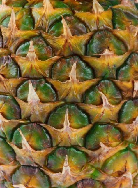 Tesselation In Nature, Fruit Zoomed In, Fruit Close Up, Nature Up Close, Food Close Up, Zoomed In Pictures, Pineapple Texture, Natural Forms Gcse, Pineapple Skin