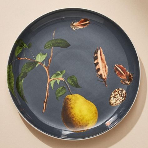 New With Tags Nature Studies, Dessert Plates, Kitchen Makeover, Dessert Plate, Serveware, Tablescapes, Blue Gold, Dinnerware, Anthropologie