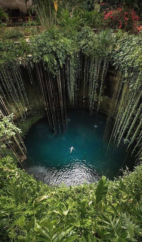 Mayan Aesthetic, Cenote Mexico, Cancun Trip, Tulum Travel, Yucatan Mexico, Mexico Destinations, True Romance, Mayan Ruins, Tulum Mexico